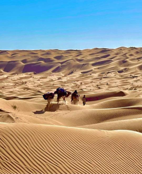 Grand Sud, La Maison De Sable Douz Dış mekan fotoğraf