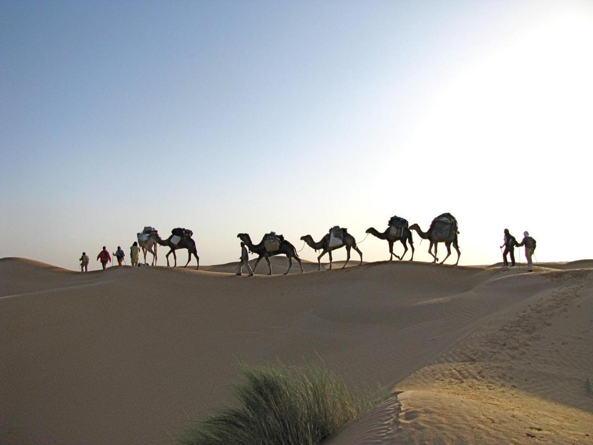 Grand Sud, La Maison De Sable Douz Dış mekan fotoğraf