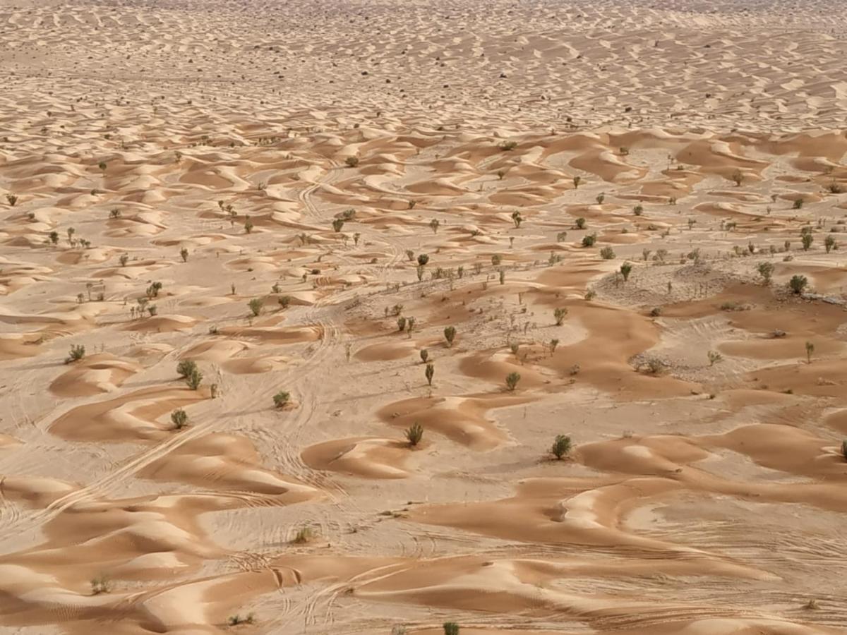Grand Sud, La Maison De Sable Douz Dış mekan fotoğraf
