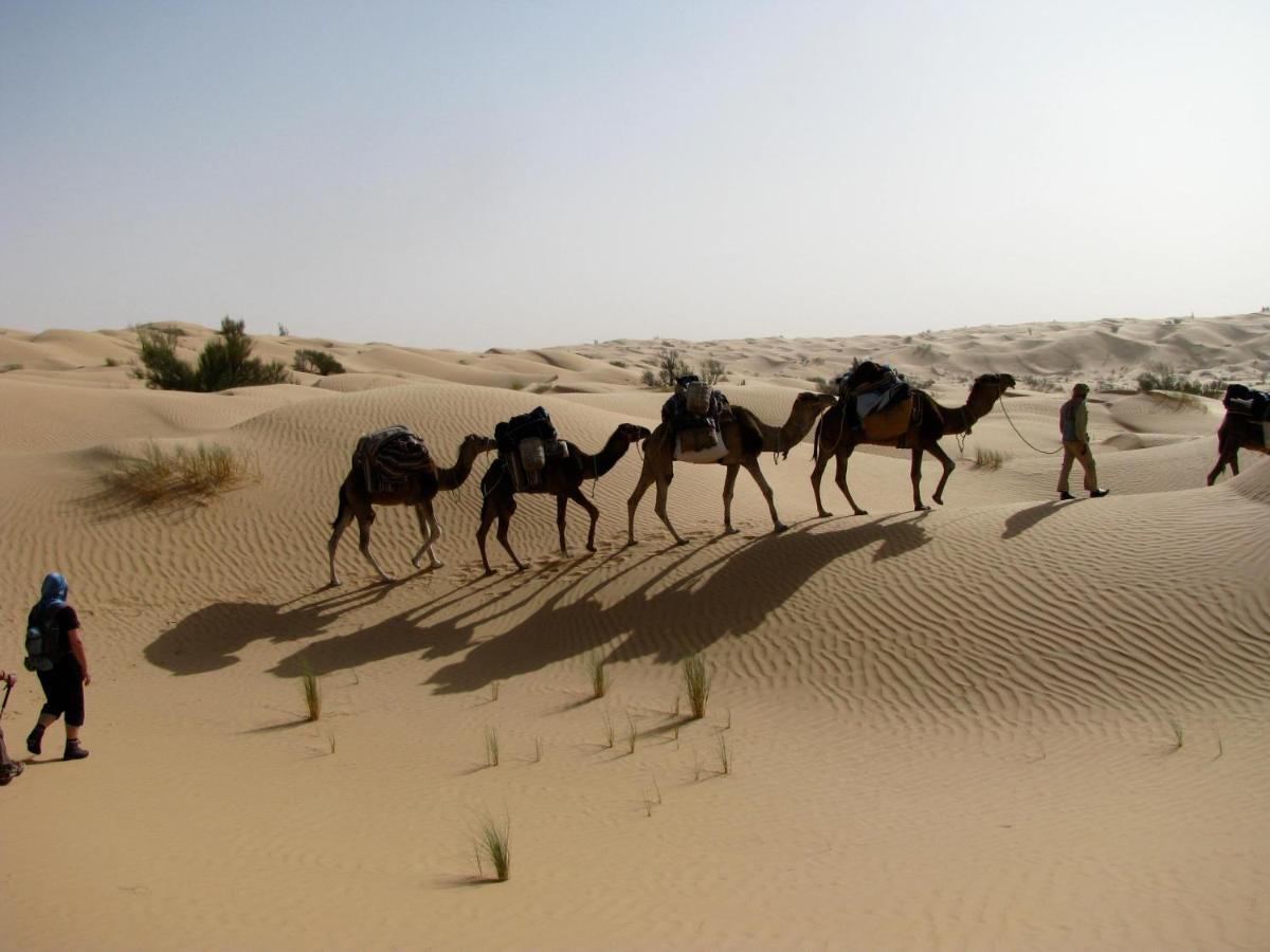 Grand Sud, La Maison De Sable Douz Dış mekan fotoğraf