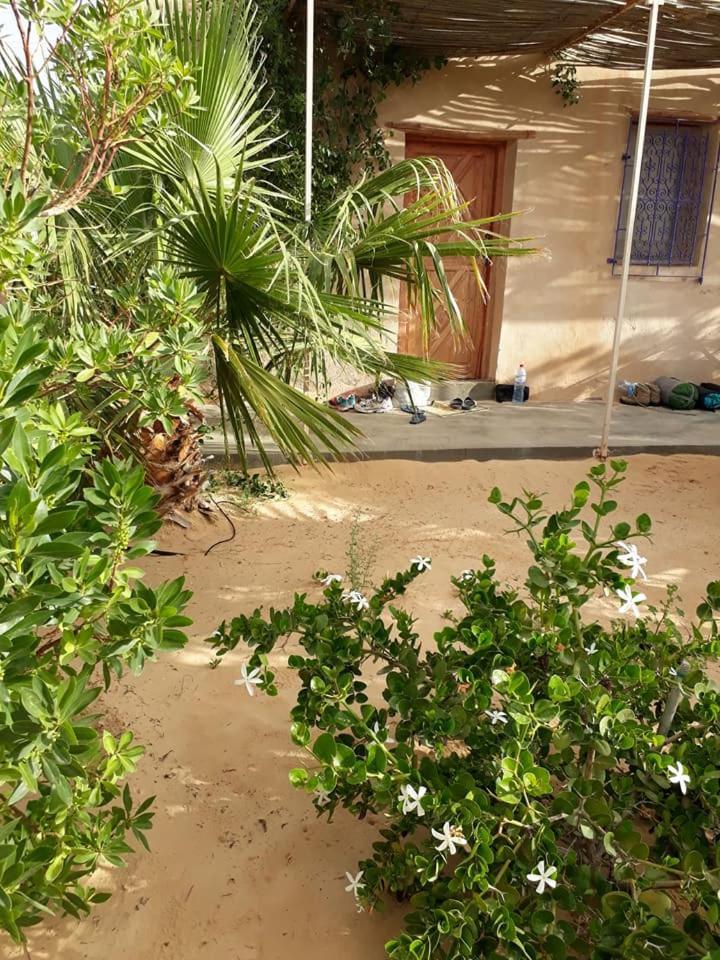 Grand Sud, La Maison De Sable Douz Dış mekan fotoğraf