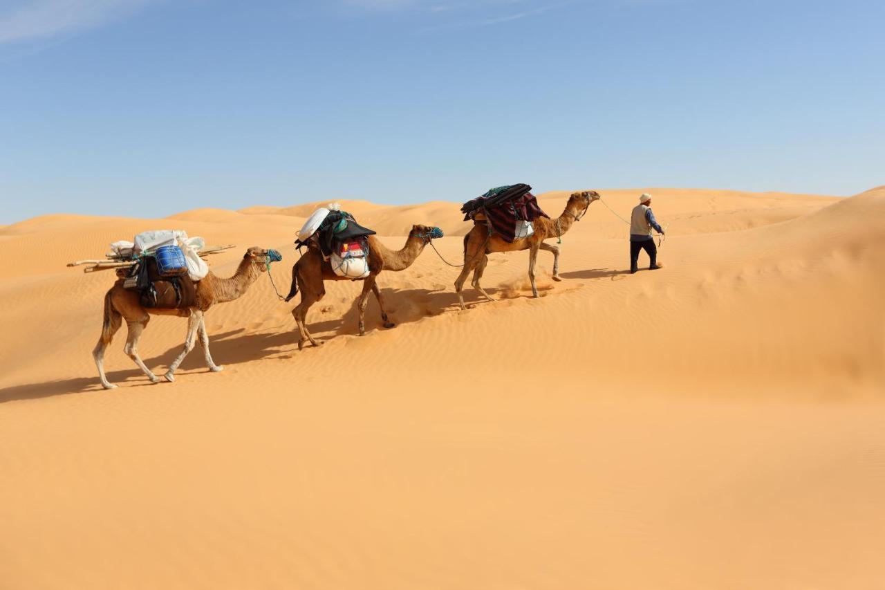 Grand Sud, La Maison De Sable Douz Dış mekan fotoğraf